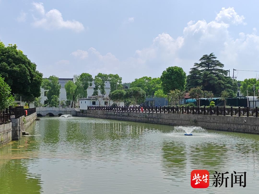 90万元打造梦幻荷花池，亲水栈道让你与自然零距离接触  第4张