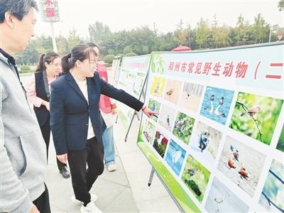 30 个野生动物保护宣传月启动，51 只野生动物放归自然