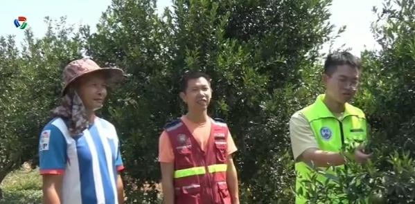 深中通道开通，江门深圳时空距离拉近，深圳青年在新会基层展现青春担当  第2张