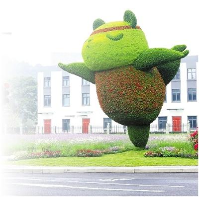 杭州街头惊现会变装的瑜伽熊猫，你打卡了吗？