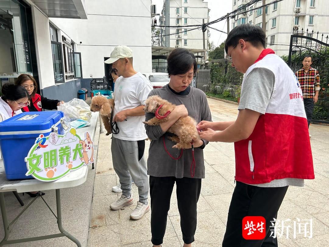宠我做起，共筑和谐社区！琴川街道湖苑社区犬类疫苗接种活动圆满成功  第1张