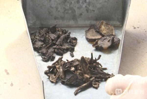 秋补季来了，你还在乱补吗？男子吃附子 3 次中毒 次，这些药材千万要小心  第1张