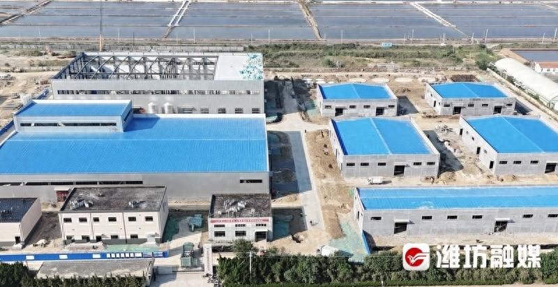 潍坊滨海区项目建设马力全开，奏响激昂进行曲  第1张