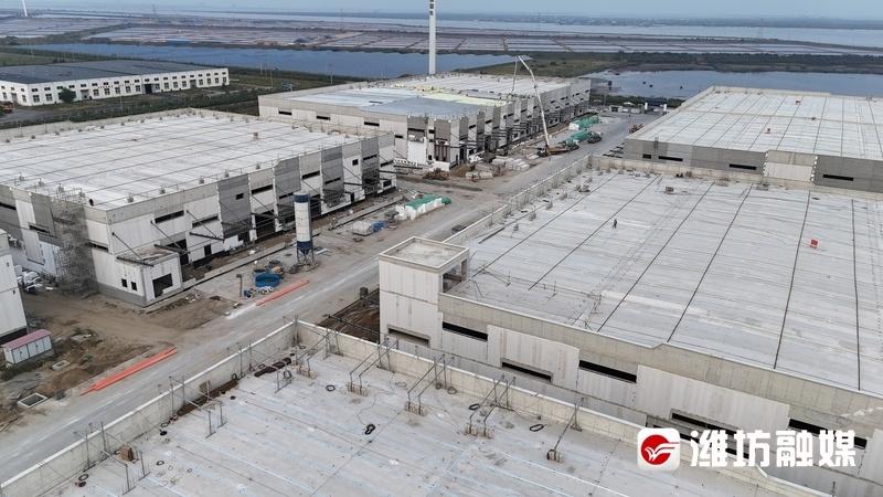 潍坊滨海区项目建设马力全开，奏响激昂进行曲  第2张