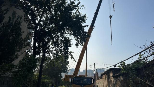 落叶堆积成隐患，物业出手保安全，农科院社区花园恢复整洁美丽  第2张