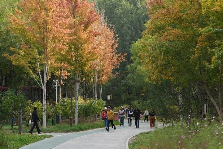 北京这个公园竟然能让 40 万人受益  第1张