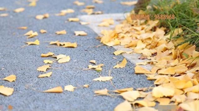 宿迁天气大反转！降水、大风、降温三连击，最低气温仅 9℃  第1张