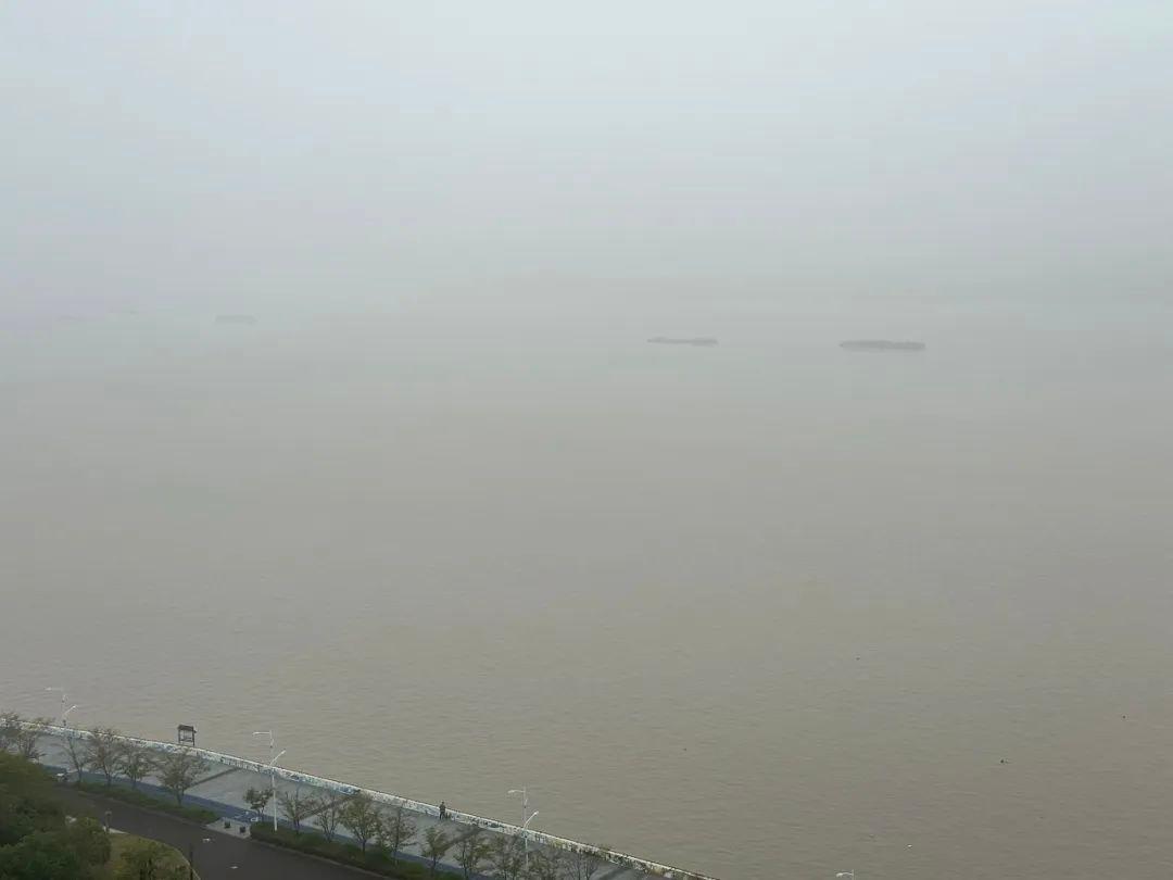 大雾来袭！浙北地区今晨再现强浓雾，最小能见度不足 200 米  第5张