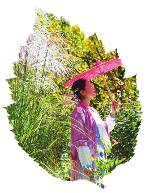 花境与景色融为一体，你还不来打卡吗？  第3张