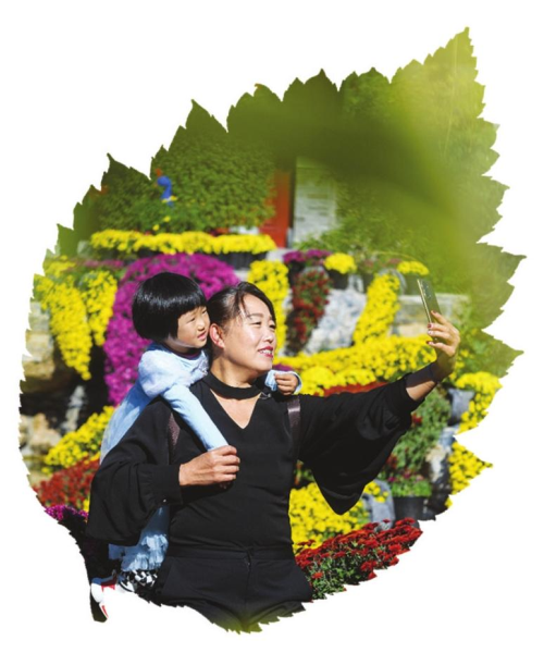花境与景色融为一体，你还不来打卡吗？  第4张