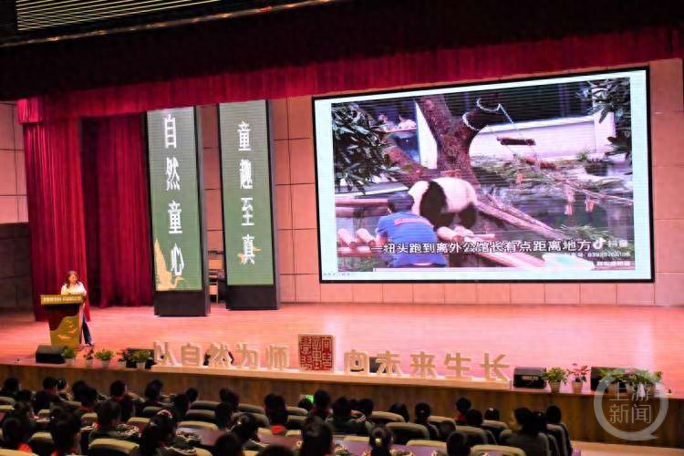 熊猫小大使培训开课，莽小五爬树过夜超 20 小时引关注