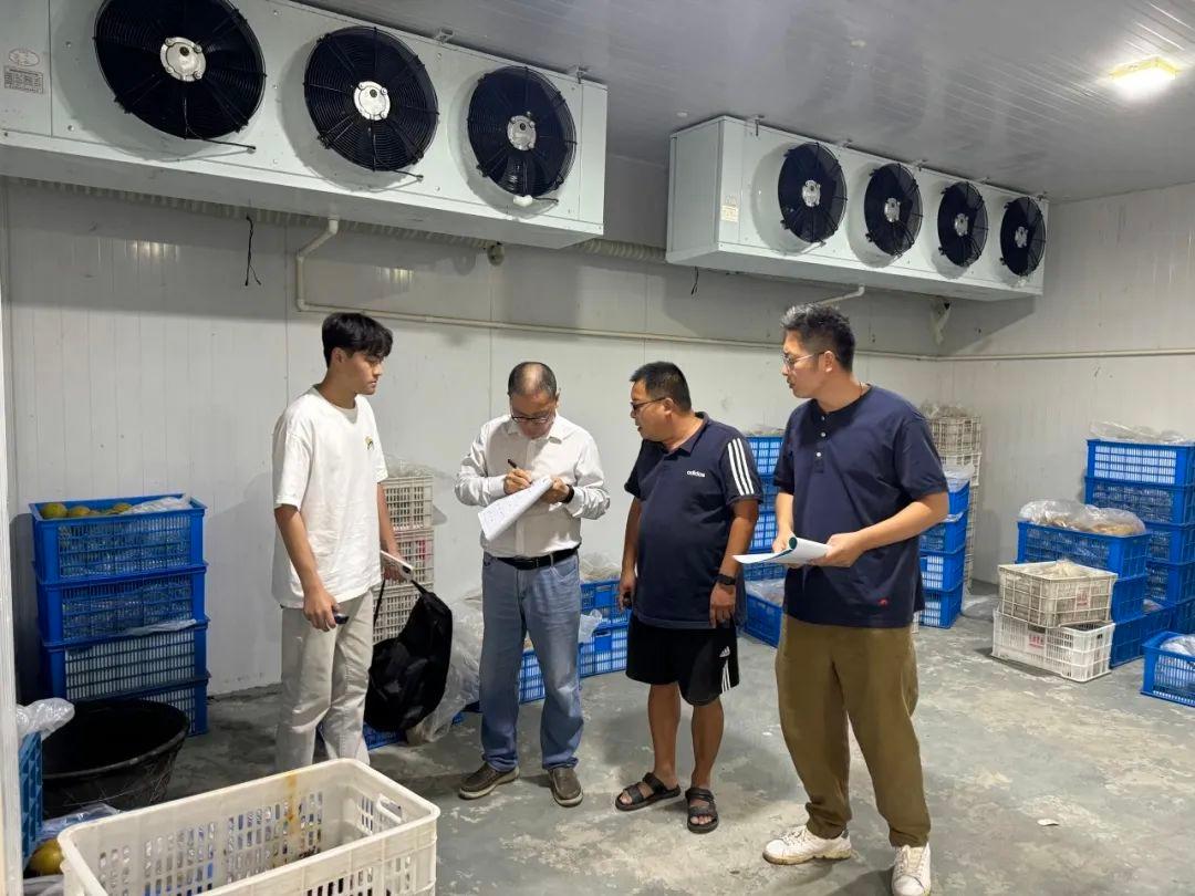 审计护航：关注道路交通安全、农产品冷藏保鲜、残疾人无障碍改造  第2张