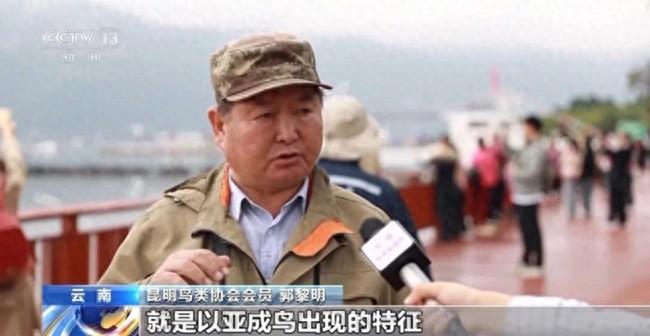 39 年从未间断！数万只红嘴鸥先头部队已到昆明，你还不来看看吗？  第1张