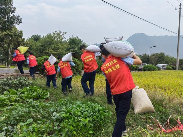 浙江一隧道管理所组建秋收小分队，助力农户抢收稻谷  第2张