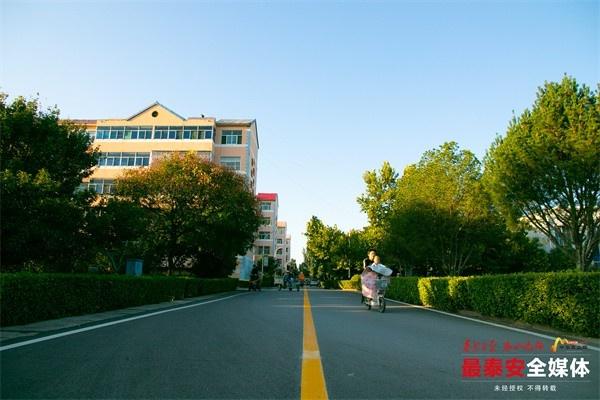 小细胞释放大能量，泰安打造无废理念宣传新高地  第4张