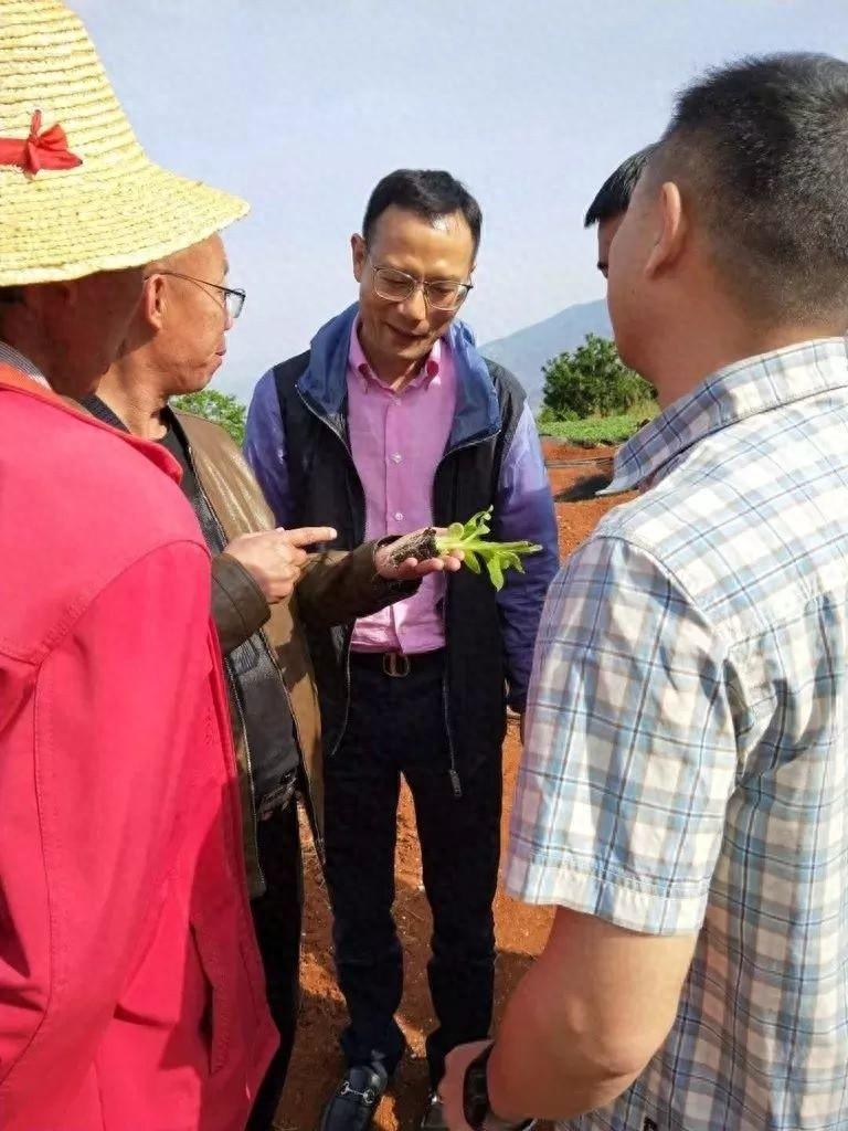 2019 年烟叶科技创新工作全面启动，攀枝花市烟草专卖局（公司）将如何引领行业发展？  第1张