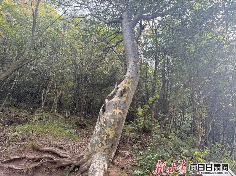 1600 多年前文人墨客在此得道成仙，如今仙人崖石窟美如仙境  第3张