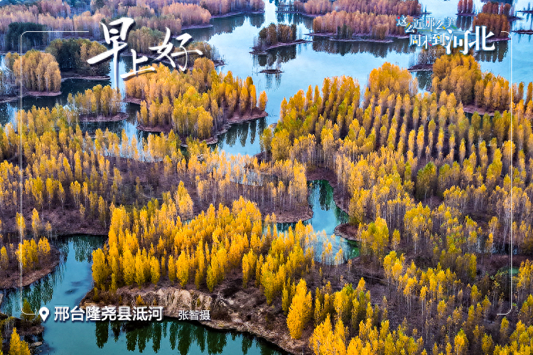 11 月 25 日起执行！河北部分医疗服务项目价格调整，你关心的都在这里