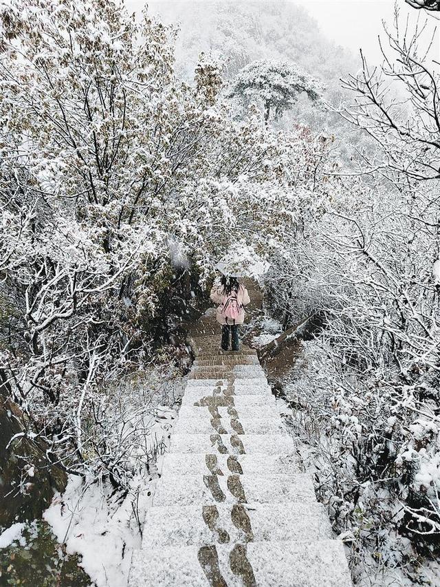 11 月 16 日西安秦岭山区降雪，交警提醒：行车注意安全  第2张