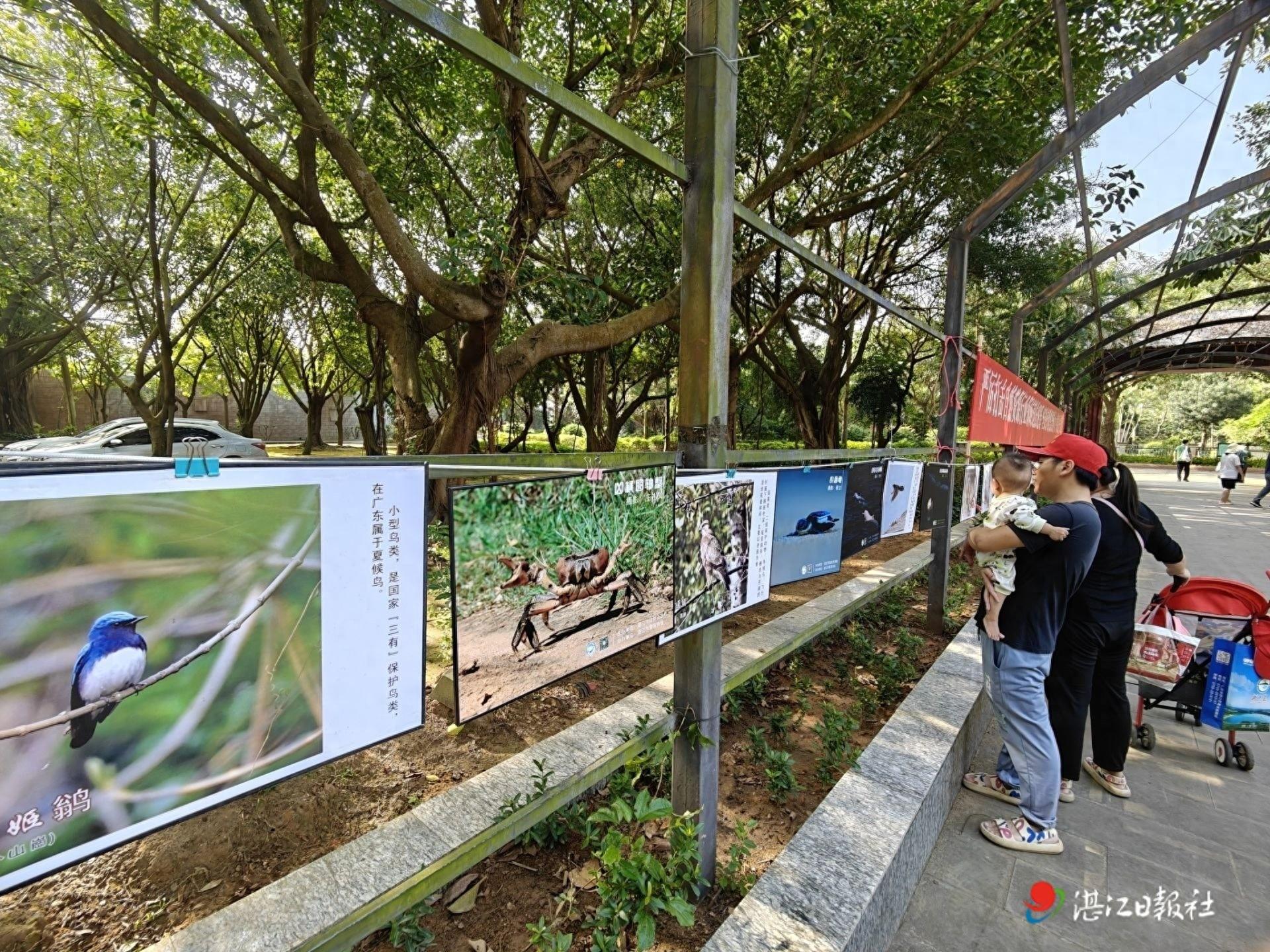 11 月 16 日，第五届广东省森林文化周湛江分会场活动在三岭山森林公园启动