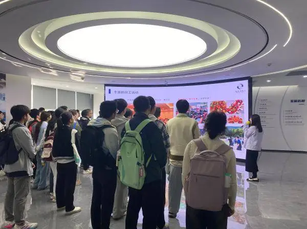 I 人求职难？E 人天生 offer 收割机？MBTI 人格测试告诉你答案  第3张