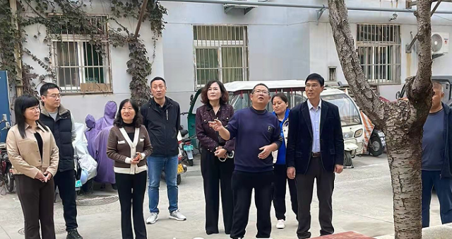 共建花园建设：一尺园让城市更美丽  第1张