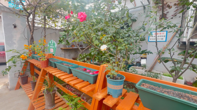 共建花园建设：一尺园让城市更美丽  第3张