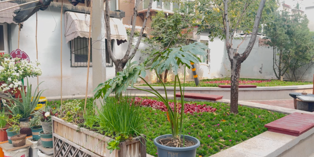 共建花园建设：一尺园让城市更美丽  第5张