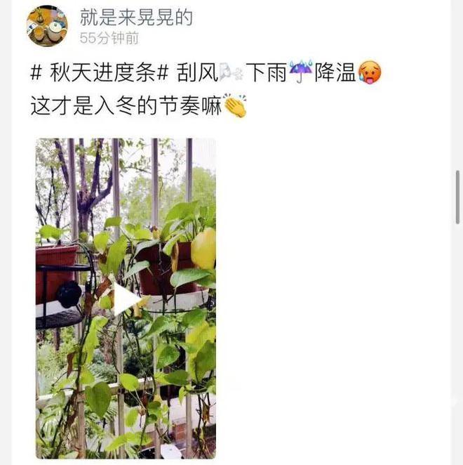 注意！杭州今明两天将出现气温倒置，最低气温会在今晚  第2张