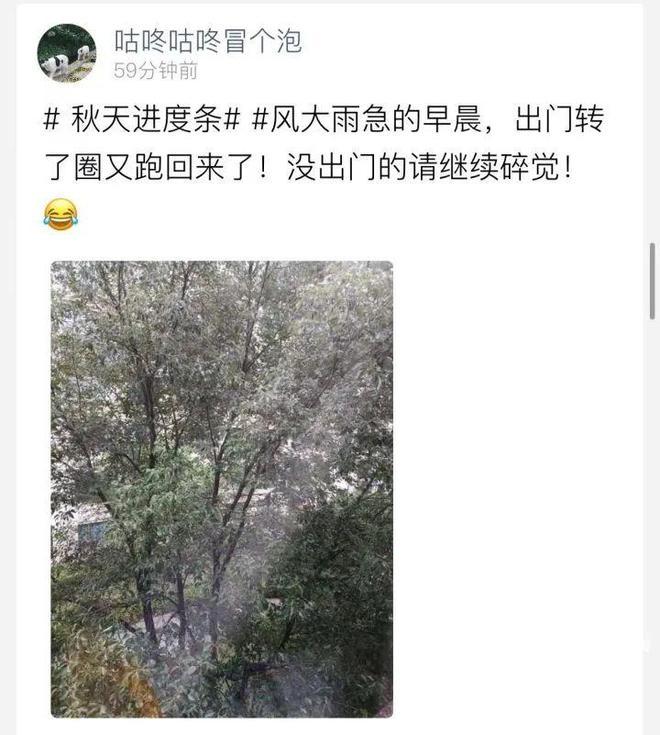 注意！杭州今明两天将出现气温倒置，最低气温会在今晚  第3张