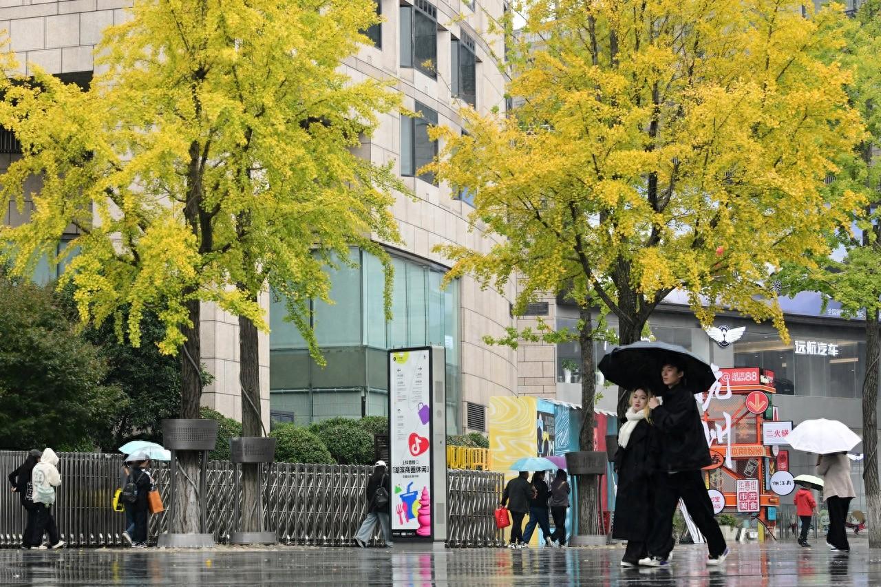 强冷空气来袭！浙江大部降温 7-9℃，你准备好了吗？  第1张