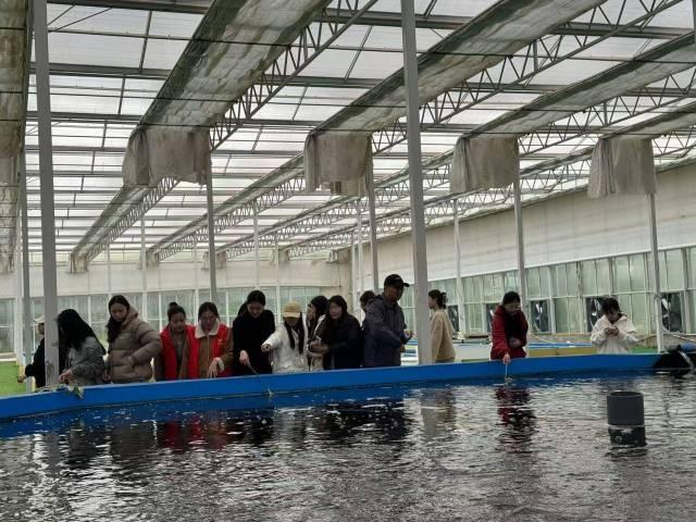 山东女子学院学生走进双泉镇，见证乡村振兴成果，感受独特魅力  第4张
