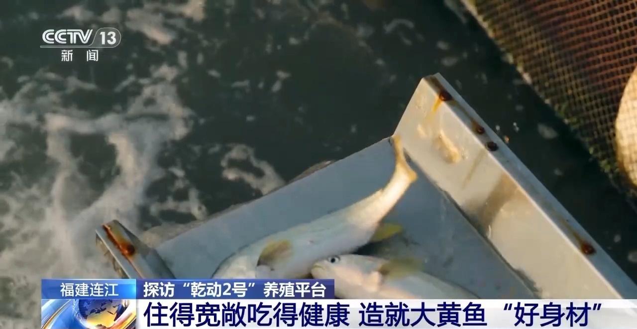 2024 世界航海装备大会盛大举行，7000 多件展品震撼亮相  第3张