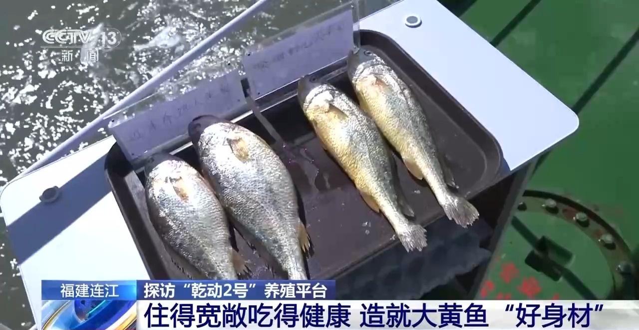 2024 世界航海装备大会盛大举行，7000 多件展品震撼亮相  第4张