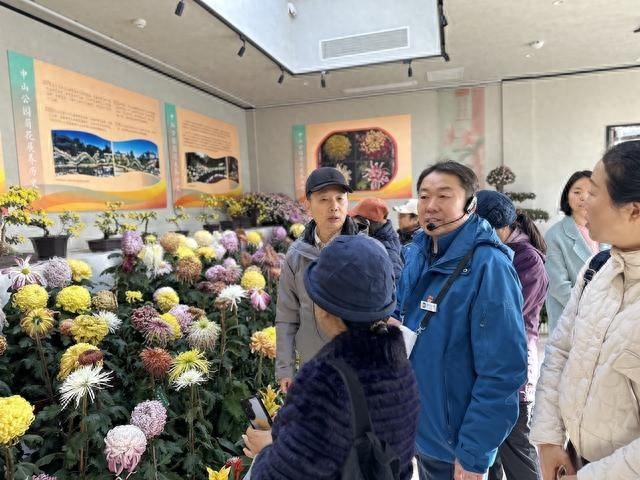 中山公园秋季菊花精品展，百年传承，花开正艳  第1张