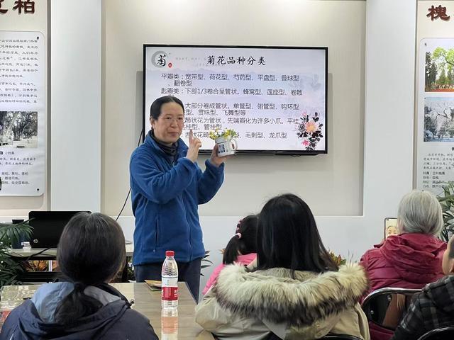 中山公园秋季菊花精品展，百年传承，花开正艳  第2张