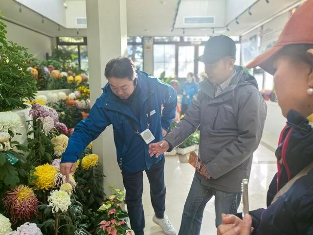 中山公园秋季菊花精品展，百年传承，花开正艳  第3张