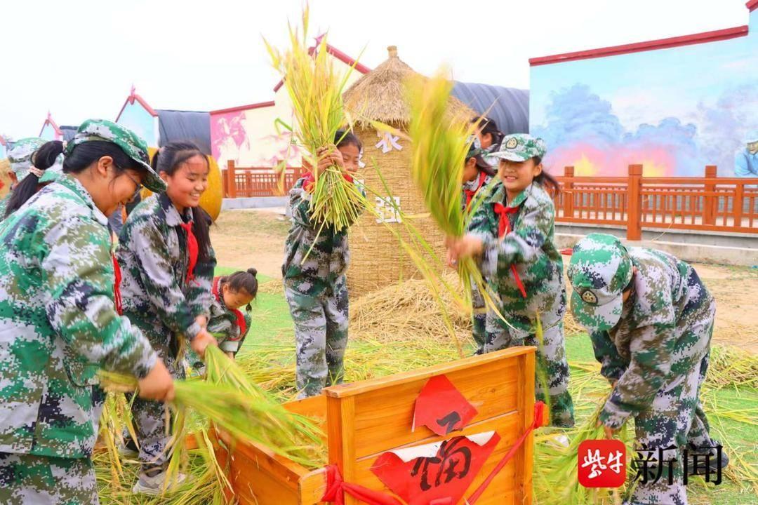 200 多名师生下田割稻！这场劳动实践研学活动太有意义了  第3张