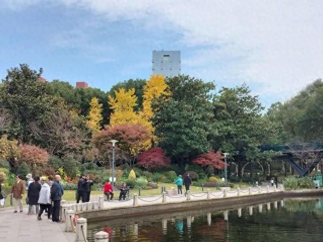 上海今日气温冰点以下，阳光下的冬日暖意与寒冷交织，你感受到了吗？  第1张