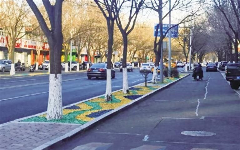 枯枝落叶变身多巴胺彩衣，冬季道路也能美得让人心动  第1张