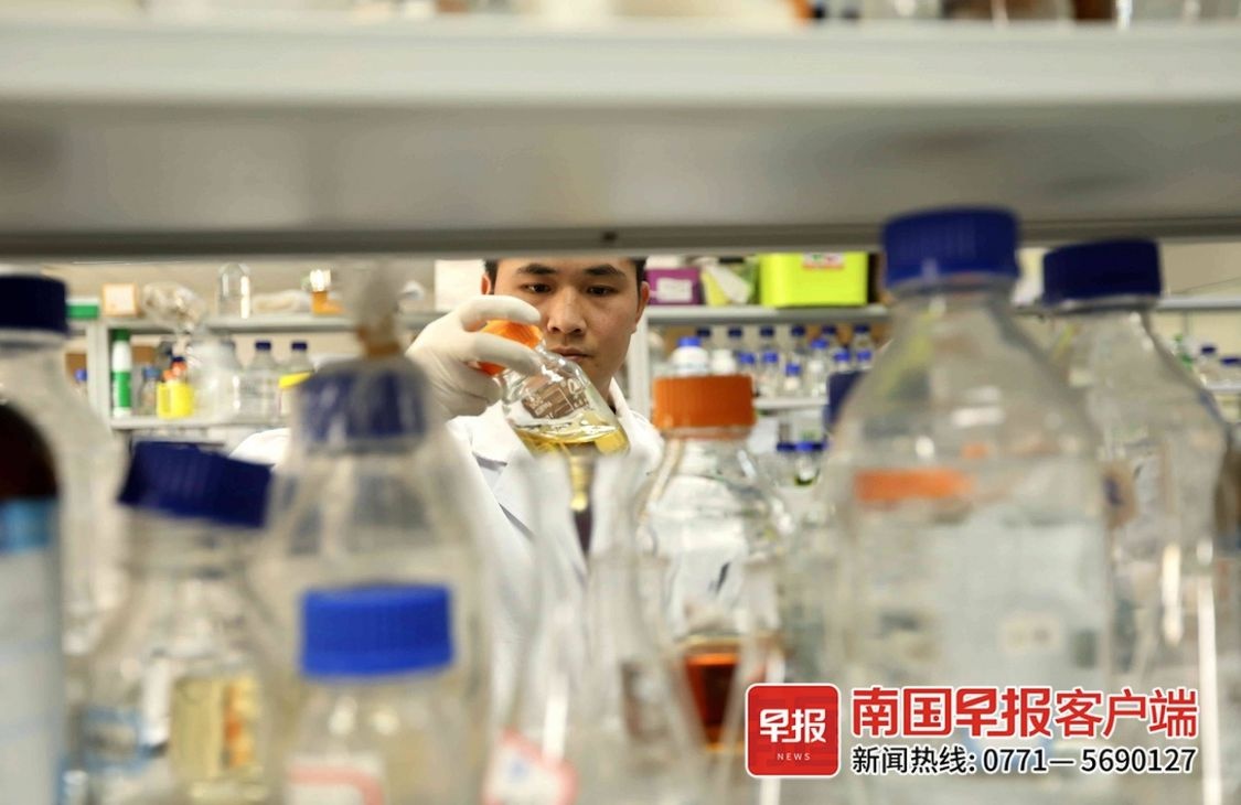 2024年，他的科研之路如何从播种到丰收？揭秘博士生的成长历程  第3张