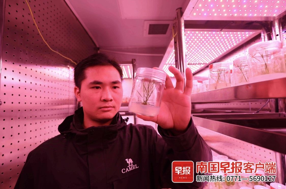 2024年，他的科研之路如何从播种到丰收？揭秘博士生的成长历程  第5张