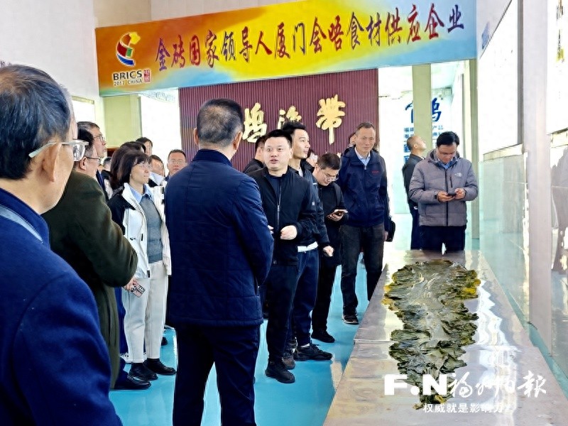 连江海带逆袭记：从包机买种苗到种苗卖全球，科技特派员如何实现这一奇迹？  第1张