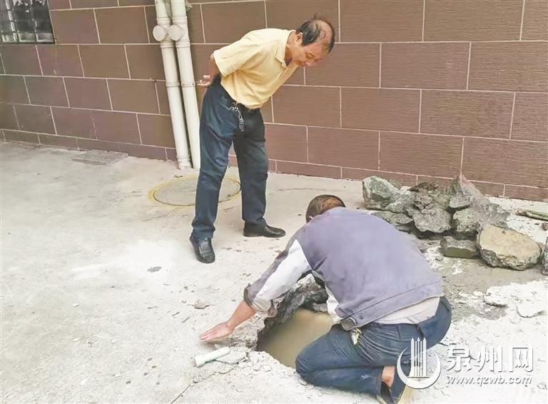 71岁老人挺身而出，三个月让乱象丛生的小区焕然一新  第3张