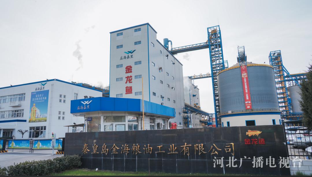 揭秘：秦皇岛金海粮油如何借助高速网络，日处理7000吨大豆，走向全国市场  第2张