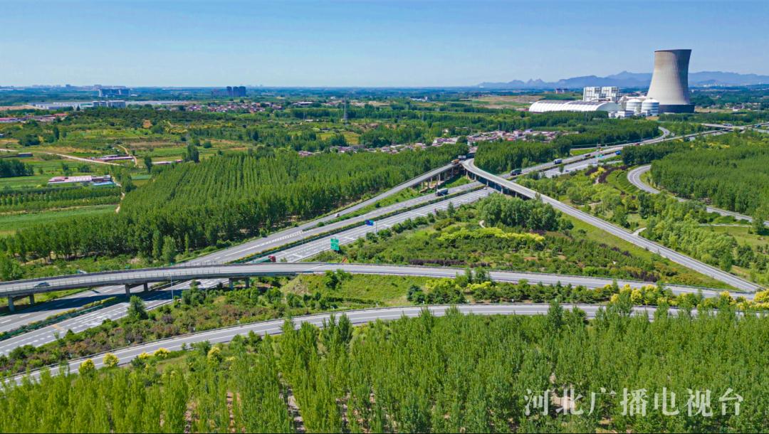 揭秘：秦皇岛金海粮油如何借助高速网络，日处理7000吨大豆，走向全国市场  第3张