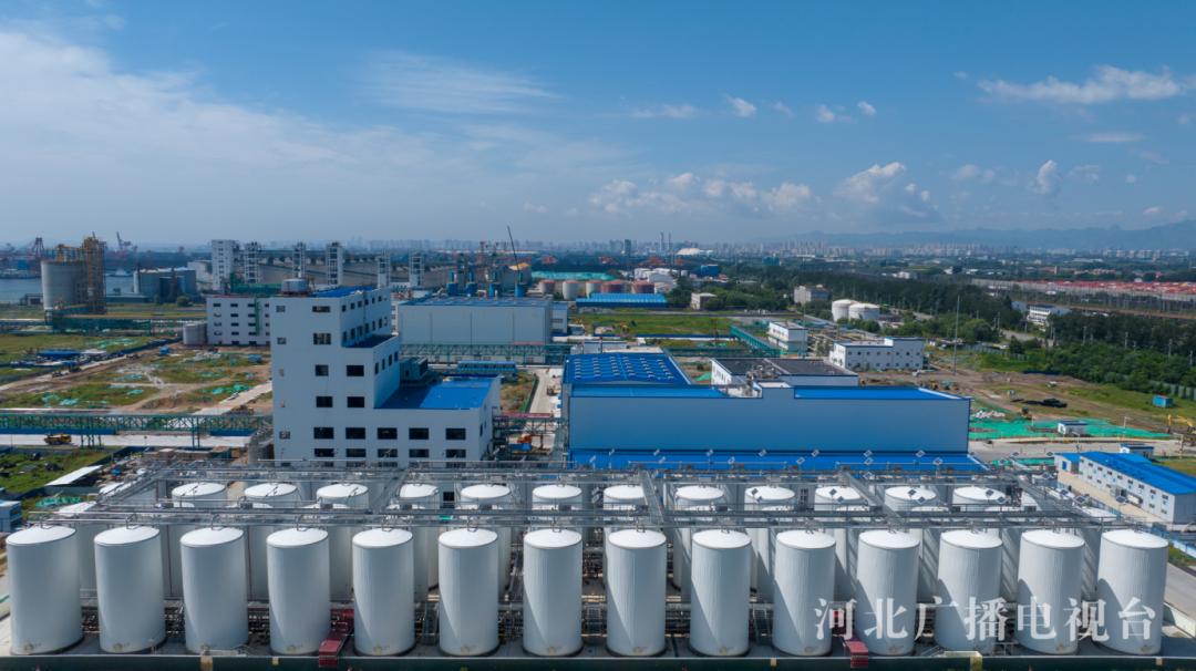 揭秘：秦皇岛金海粮油如何借助高速网络，日处理7000吨大豆，走向全国市场  第4张