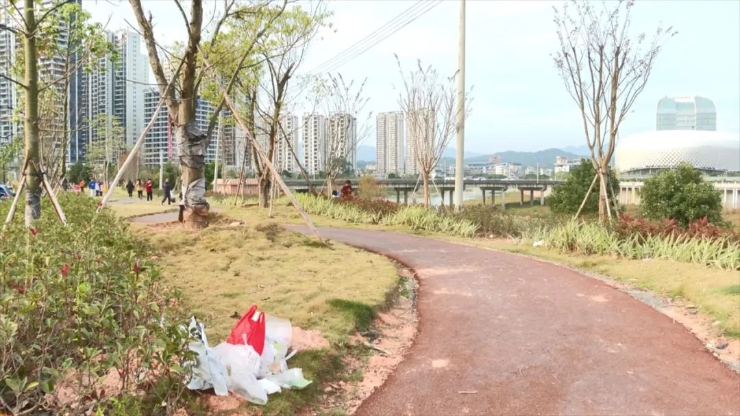 亲水公园美景如画，但这些不文明行为正在悄悄破坏它  第3张