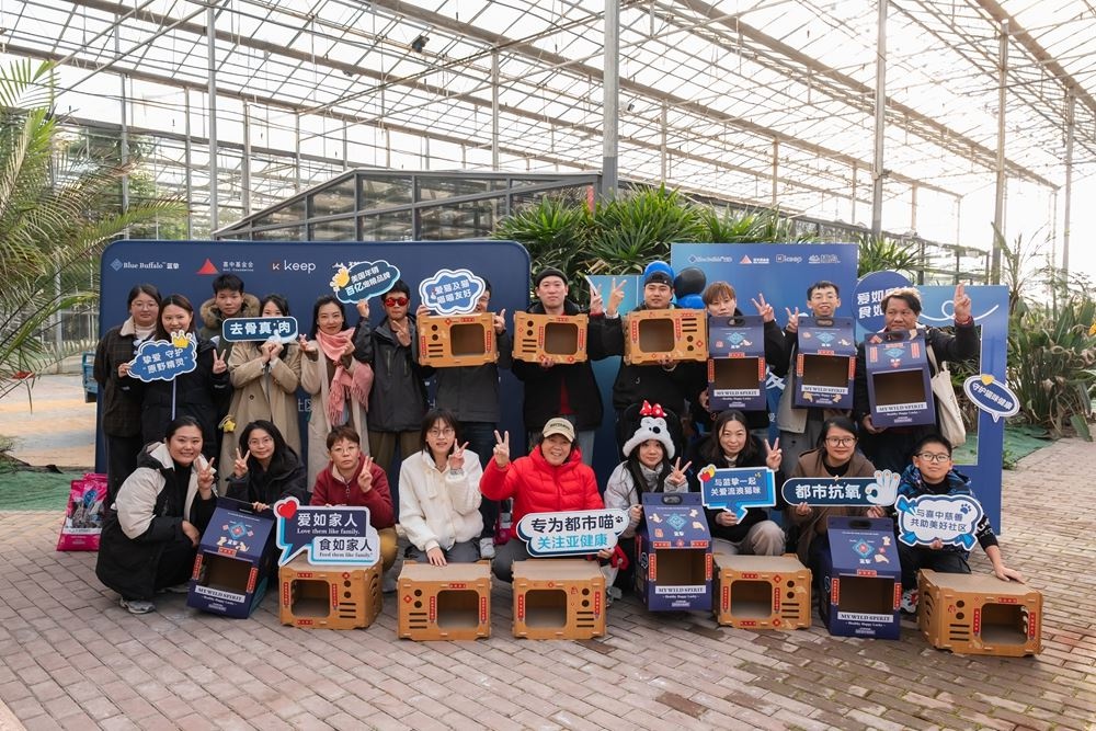 爱自己，亦是爱它：300余位爱猫人士齐聚上海，为流浪猫送上暖冬关怀  第2张