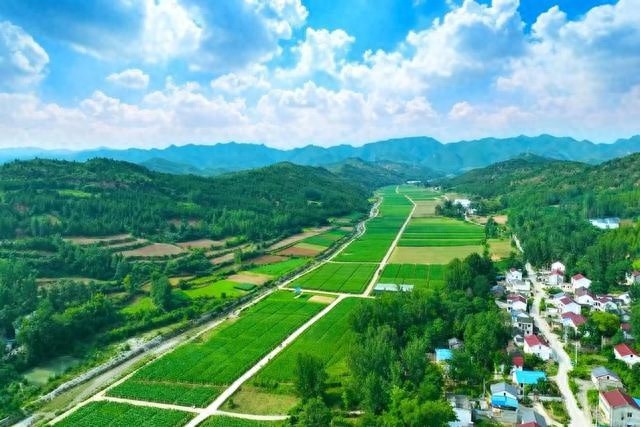 揭秘丹江口市杏花村：橙子满坡，村民乐翻天，幸福乡村画卷惊艳展开  第1张